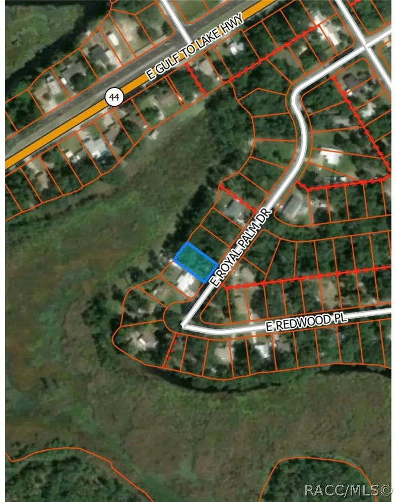 9109 E Royal Palm Drive, Inverness, FL 34450 - #2