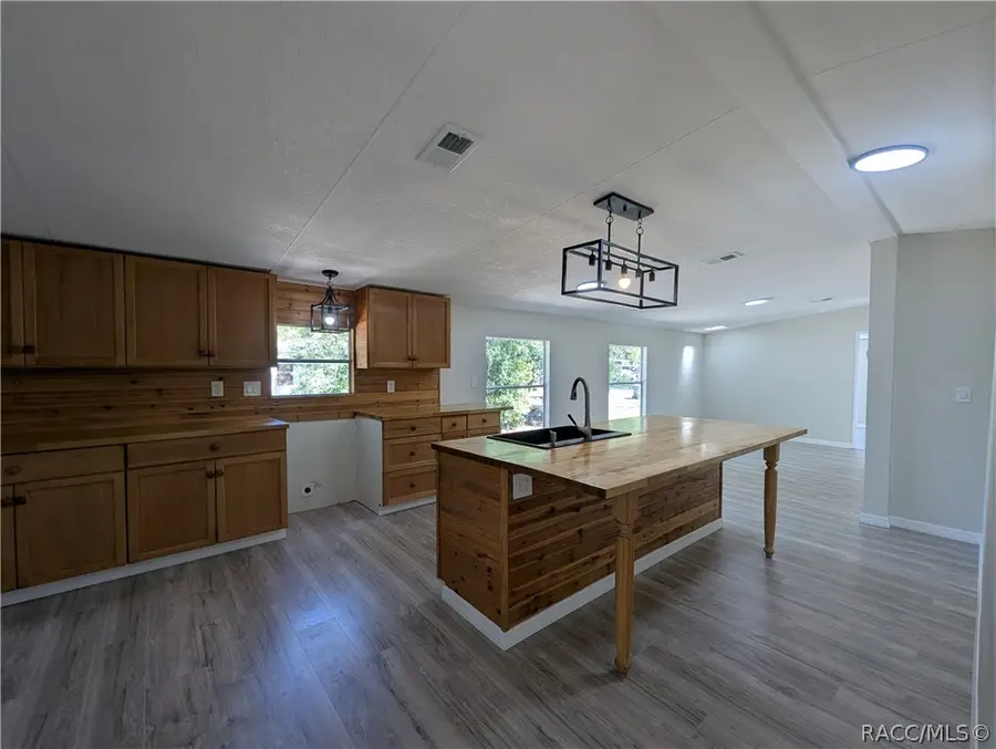 5208 W Caraway Place, Lecanto, FL 34461 - #3