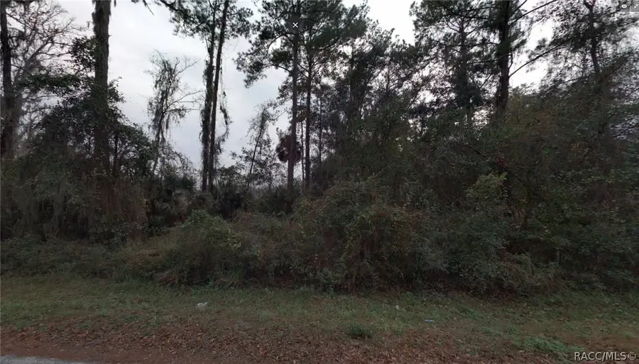 0 Duck Lake Drive, Fernandina Beach, FL 32034 - #3