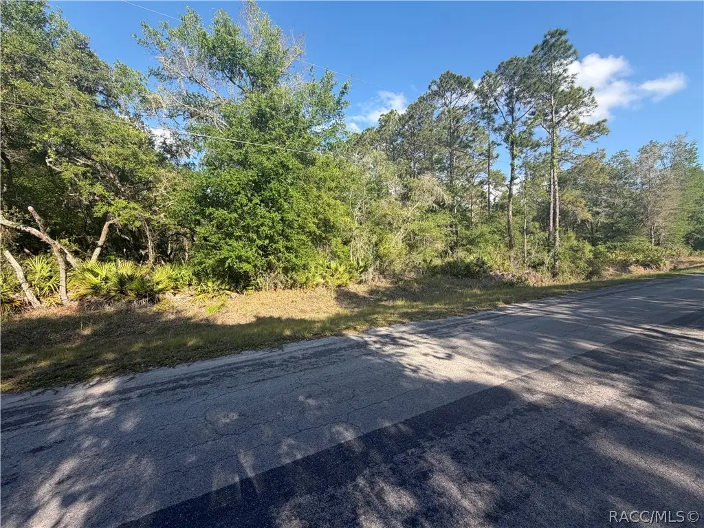 9285 N Cavewood Avenue, Crystal River, FL 34428 - #1