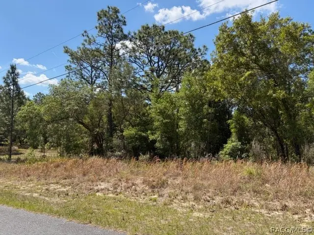 2598 W Begonia Drive, Beverly Hills, FL 34465 - #3