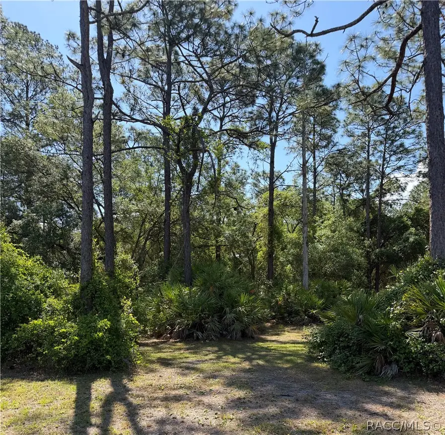 00 SE 180th Avenue Road, Ocklawaha, FL 32179 - #1