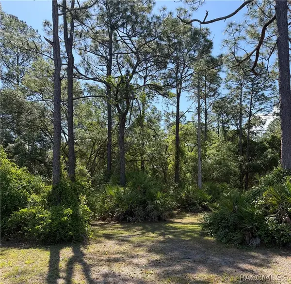 00 SE 180th Avenue Road, Ocklawaha, FL 32179