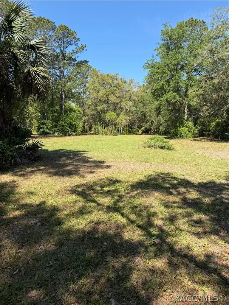 00 SE 180th Avenue Road, Ocklawaha, FL 32179 - #2
