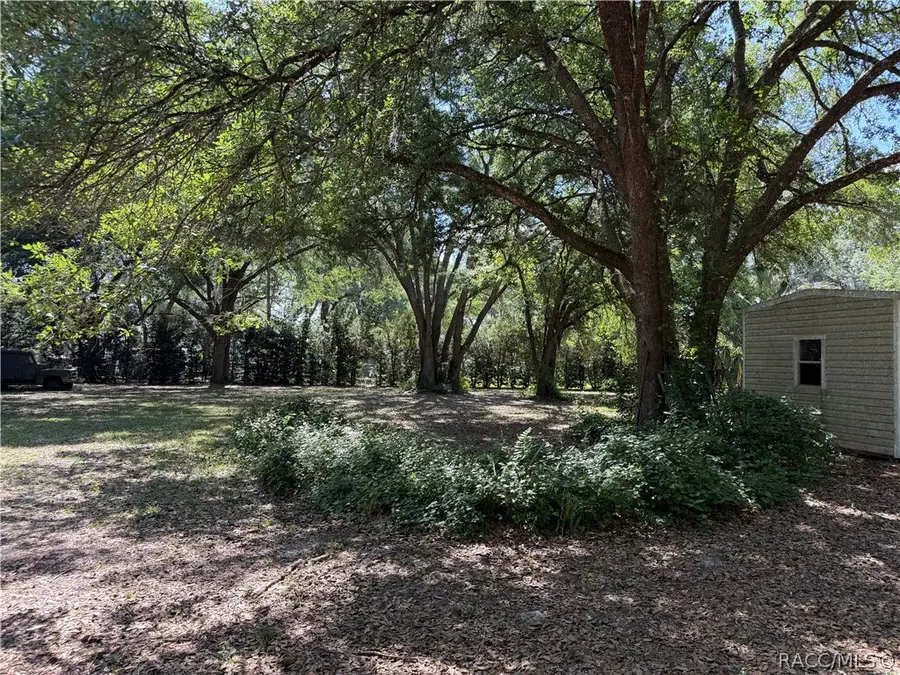 00 SE 180th Avenue Road, Ocklawaha, FL 32179 - #3