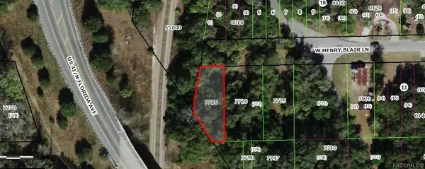 1840 W Henry Blair Lane, Dunnellon, FL 34434