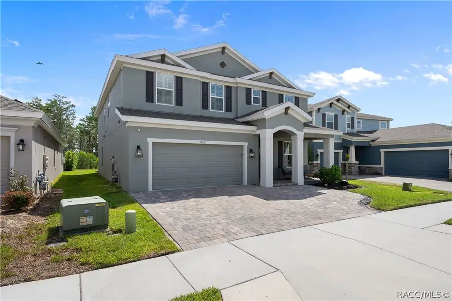 18207 Ramble On Way, Land O Lakes, FL 34638 - #2