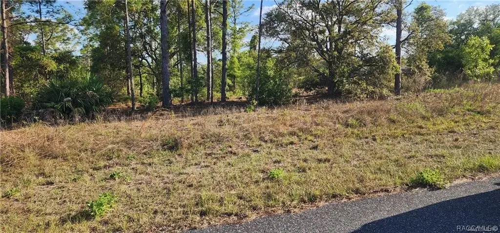 3420 W Hayward Lane, Citrus Springs, FL 34433 - #1