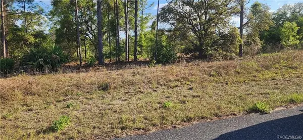 3420 W Hayward Lane, Citrus Springs, FL 34433