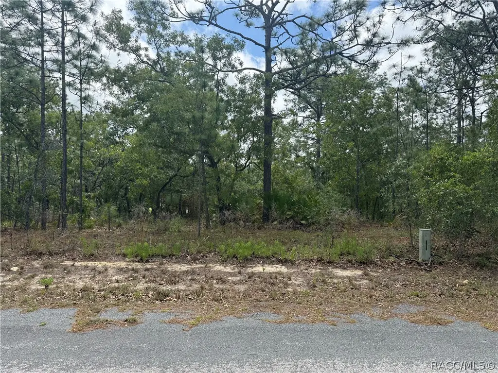 7 Drypetes Court W, Homosassa, FL 34446 - #1
