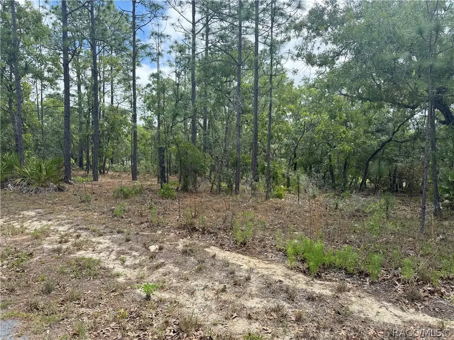 7 Drypetes Court W, Homosassa, FL 34446 - #2