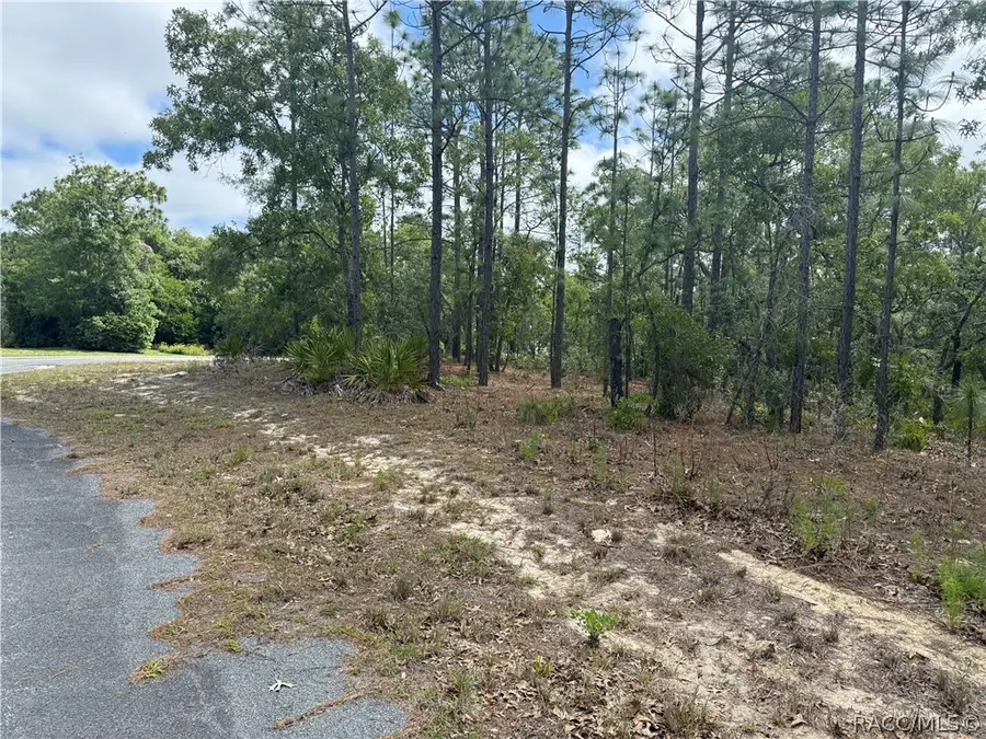 7 Drypetes Court W, Homosassa, FL 34446 - #3