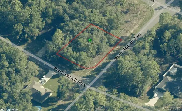 11019 Morrell Drive, Citrus Springs, FL 34434