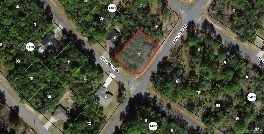 11019 Morrell Drive, Citrus Springs, FL 34434 - #2