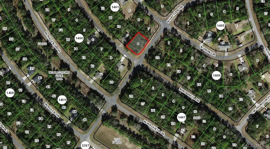 11019 Morrell Drive, Citrus Springs, FL 34434 - #3