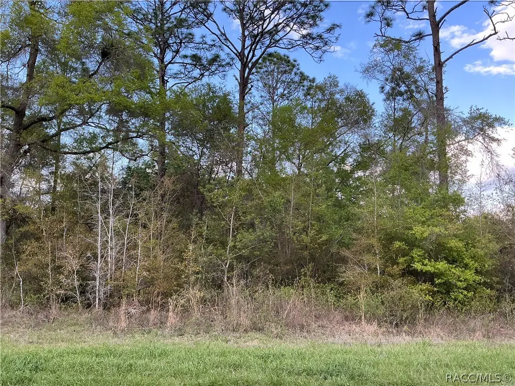 8749 N Upland Drive, Citrus Springs, FL 34434 - #1