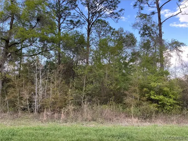 8749 N Upland Drive, Citrus Springs, FL 34434