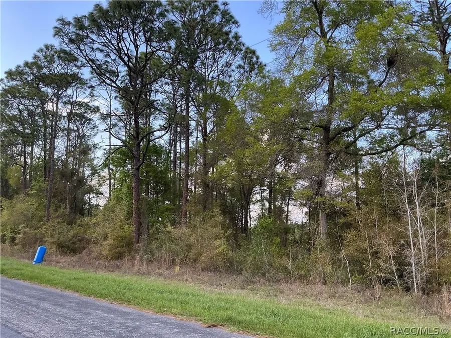 8749 N Upland Drive, Citrus Springs, FL 34434 - #3