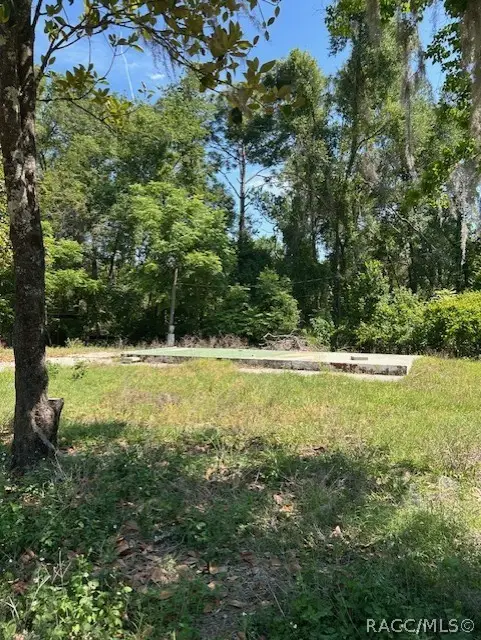 255 S Scarboro Avenue, Lecanto, FL 34461 - #2