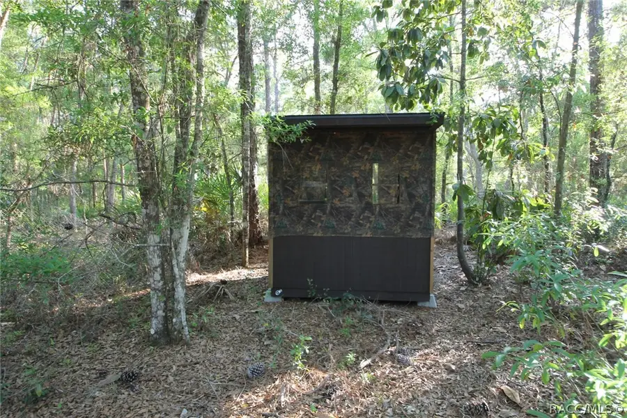 7982 W Mayfair Drive, Homosassa, FL 34448 - #2