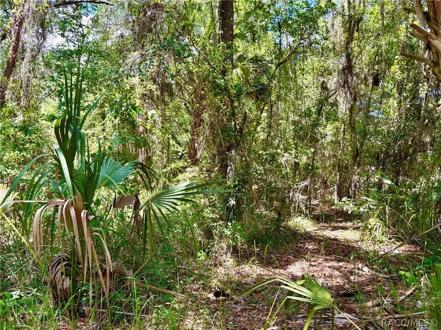 0 Old Crystal River Road, Brooksville, FL 34460 - #2