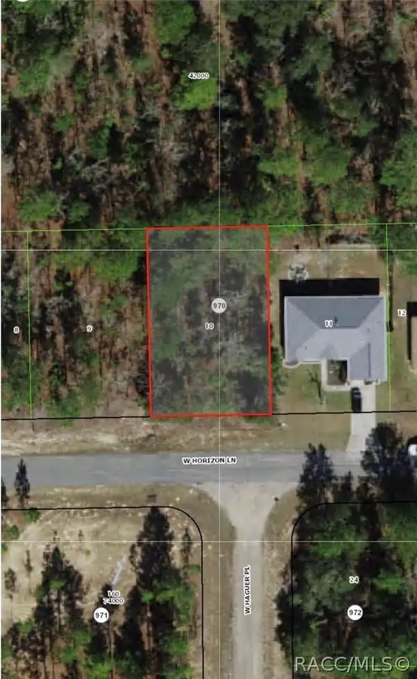 713 W Horizon Lane, Citrus Springs, FL 34434