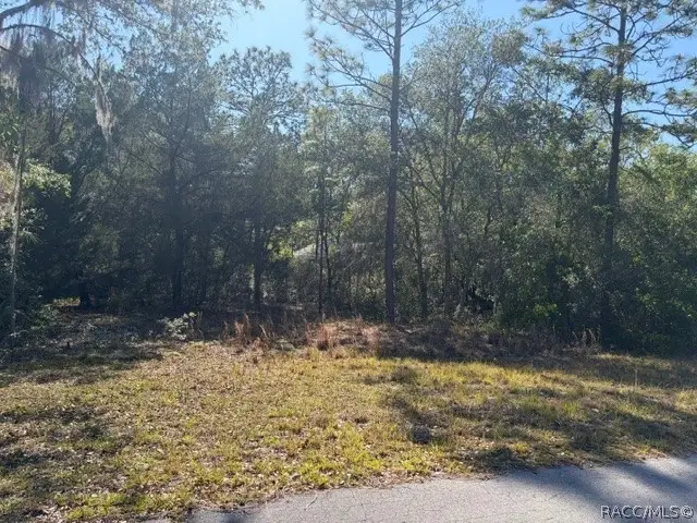 6162 W Bovio Court, Dunnellon, FL 34433 - #1