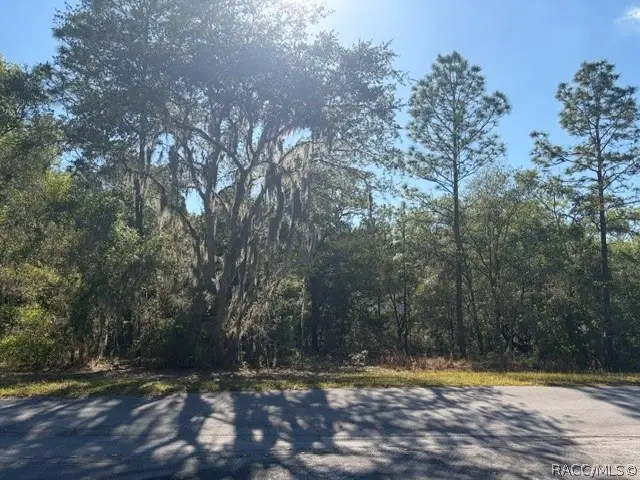 6162 W Bovio Court, Dunnellon, FL 34433 - #2