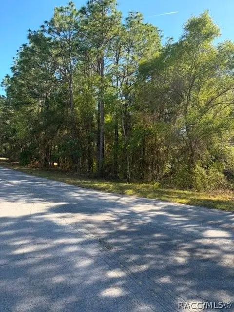 6162 W Bovio Court, Dunnellon, FL 34433 - #3