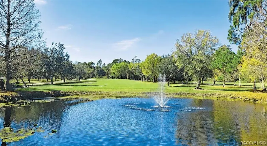 11303 N Schult Terrace, Citrus Springs, FL 34434 - #3