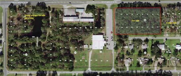 4025 S Missouri Drive, Homosassa, FL 34448