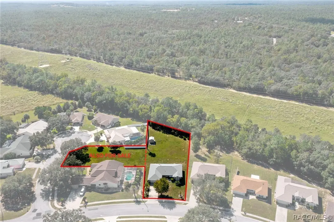 1342 S Brookfield Drive, Lecanto, FL 34461 - #1