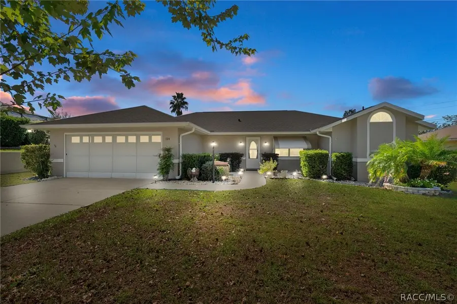 1342 S Brookfield Drive, Lecanto, FL 34461 - #3