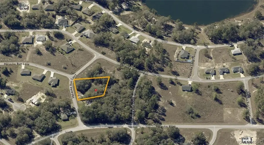 000 Malauka Run Lot#3 Court, Ocklawaha, FL 32179 - #2