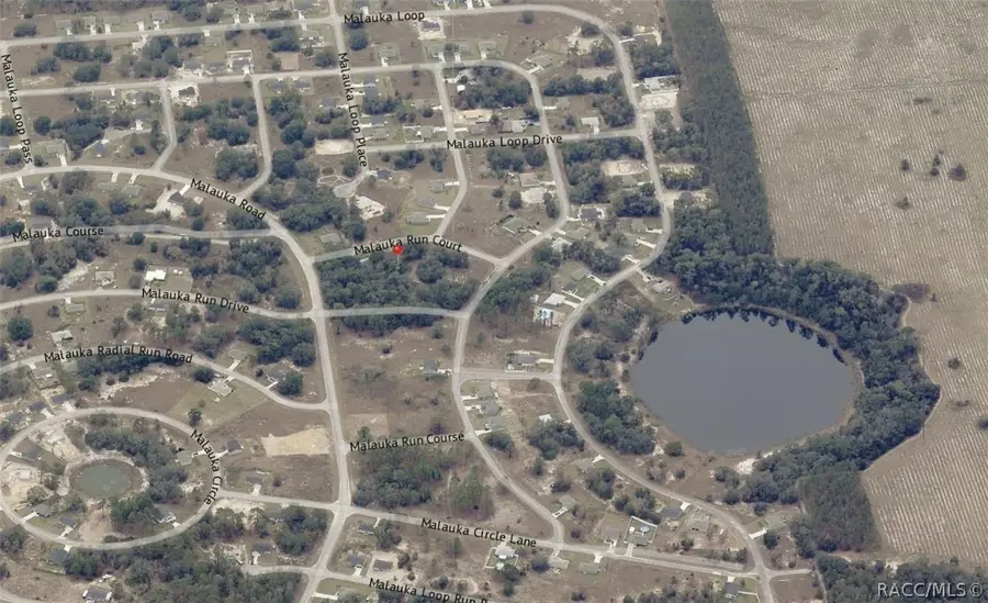 000 Malauka Run Lot#3 Court, Ocklawaha, FL 32179 - #3