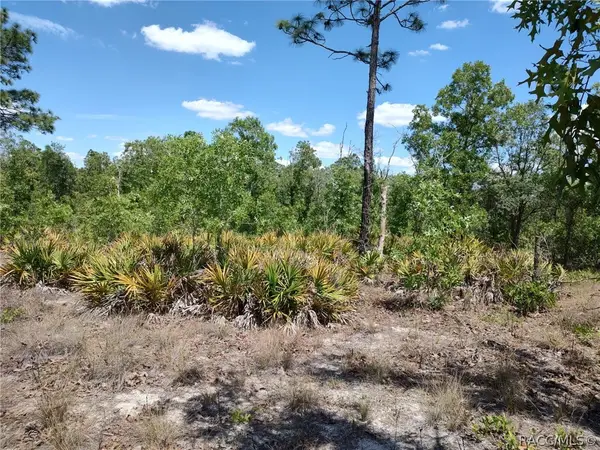 7165 W August Lane, Dunnellon, FL 34433