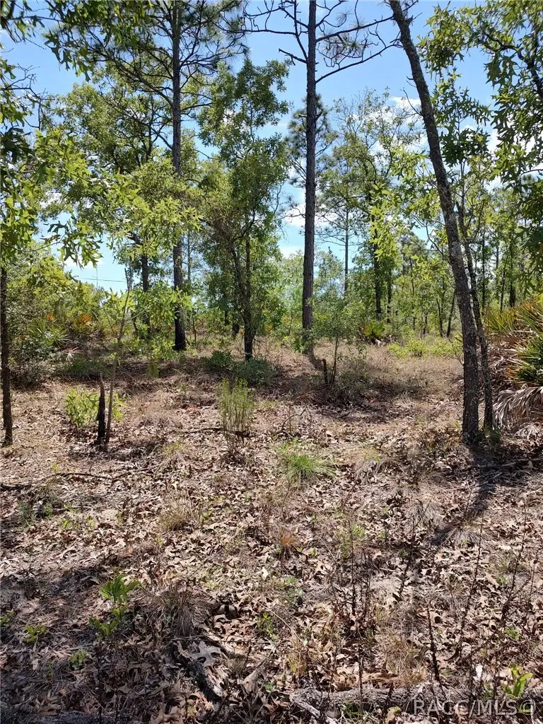 7165 W August Lane, Dunnellon, FL 34433 - #2