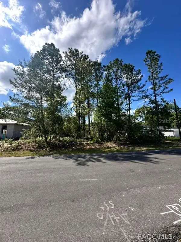 3125 W Fairbank Drive, Citrus Springs, FL 34433