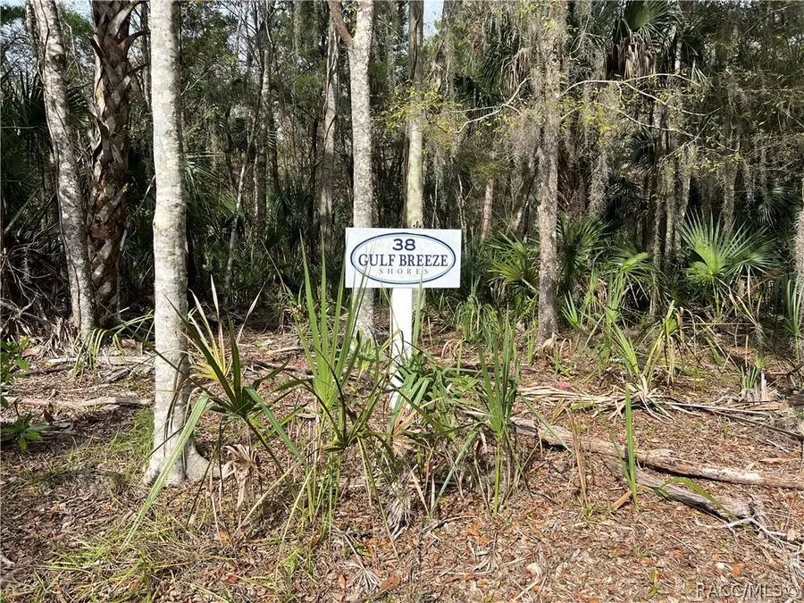 13093 W Gulf Shores Street, Inglis, FL 34449 - #3