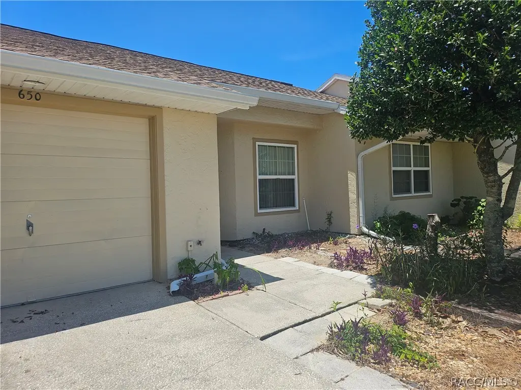 650 W Diamondbird Loop, Hernando, FL 34442 - #1