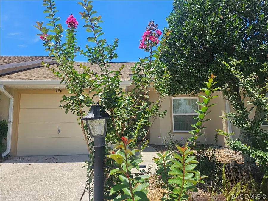 650 W Diamondbird Loop, Hernando, FL 34442 - #2