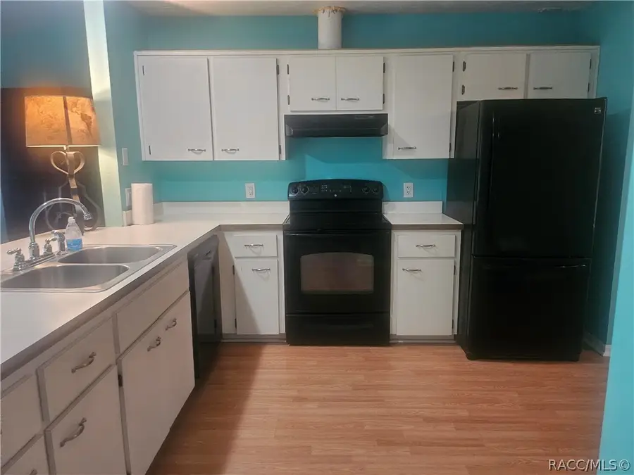 650 W Diamondbird Loop, Hernando, FL 34442 - #3