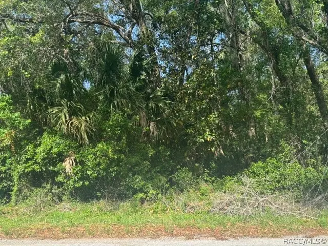 874 N Savary Avenue, Inverness, FL 34453 - #1