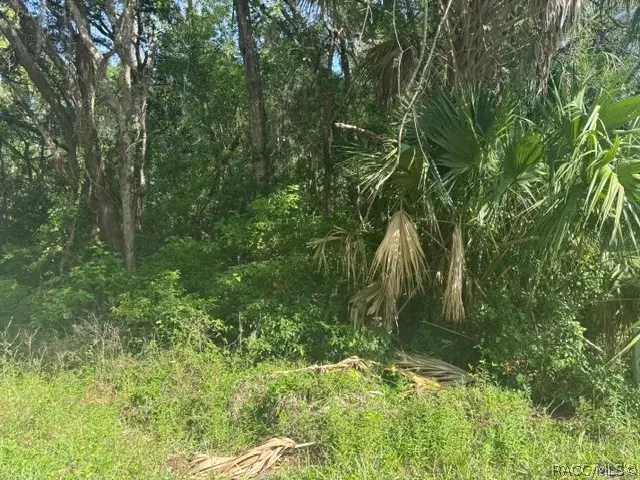 874 N Savary Avenue, Inverness, FL 34453 - #2