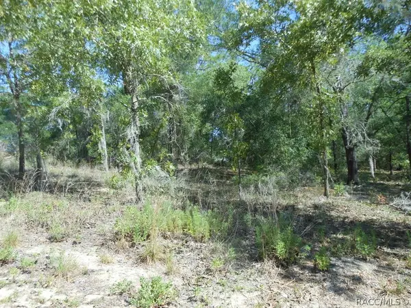 5225 E Prentice Lane, Inverness, FL 34452