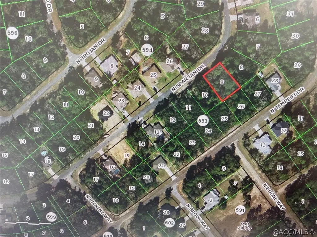 8595 N Spartan Drive, Citrus Springs, FL 34433 - #1