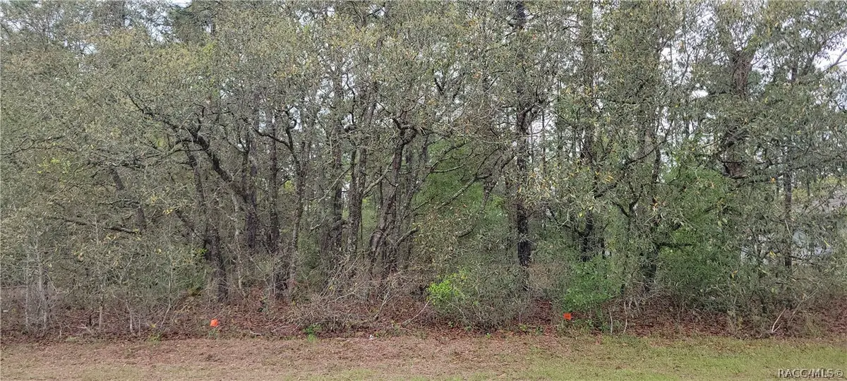7662 N Maltese Drive, Citrus Springs, FL 34433 - #1