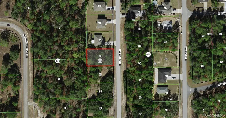 7662 N Maltese Drive, Citrus Springs, FL 34433 - #2