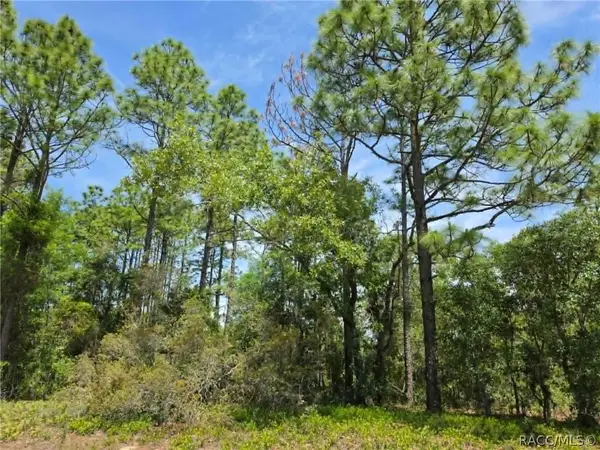 3099 W Wilhelm Street, Dunnellon, FL 34433
