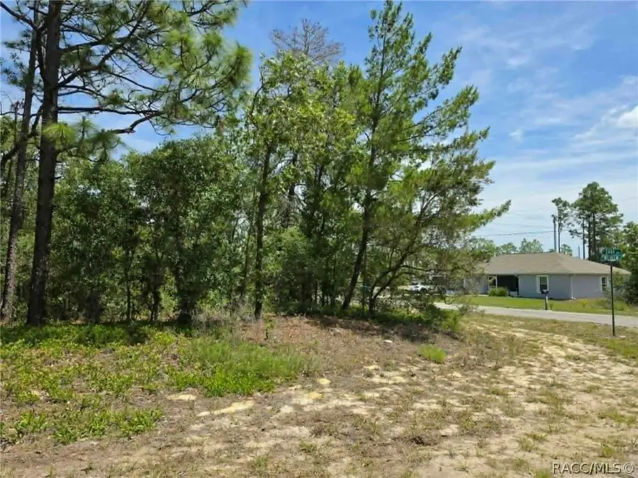 3099 W Wilhelm Street, Dunnellon, FL 34433 - #3